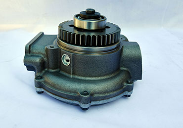P11353