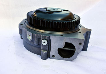 P11361