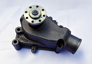 P11616