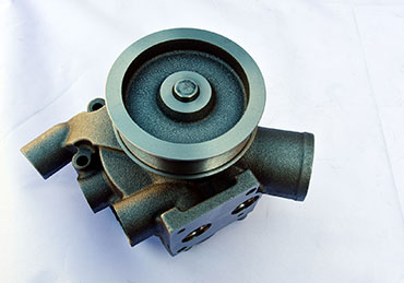 P11643
